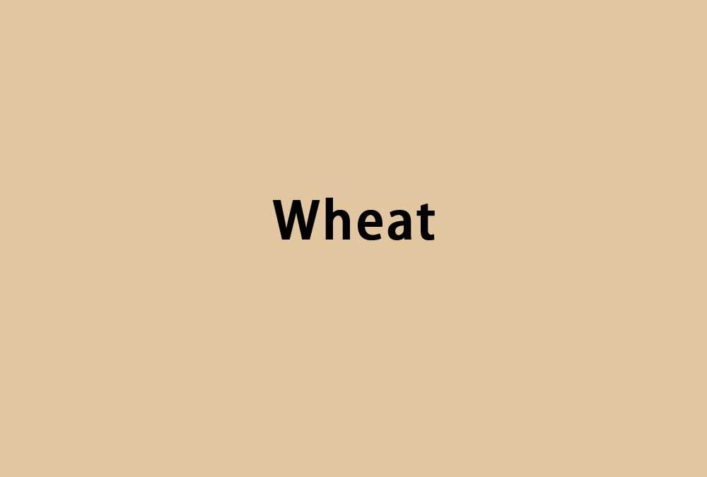 Wheat